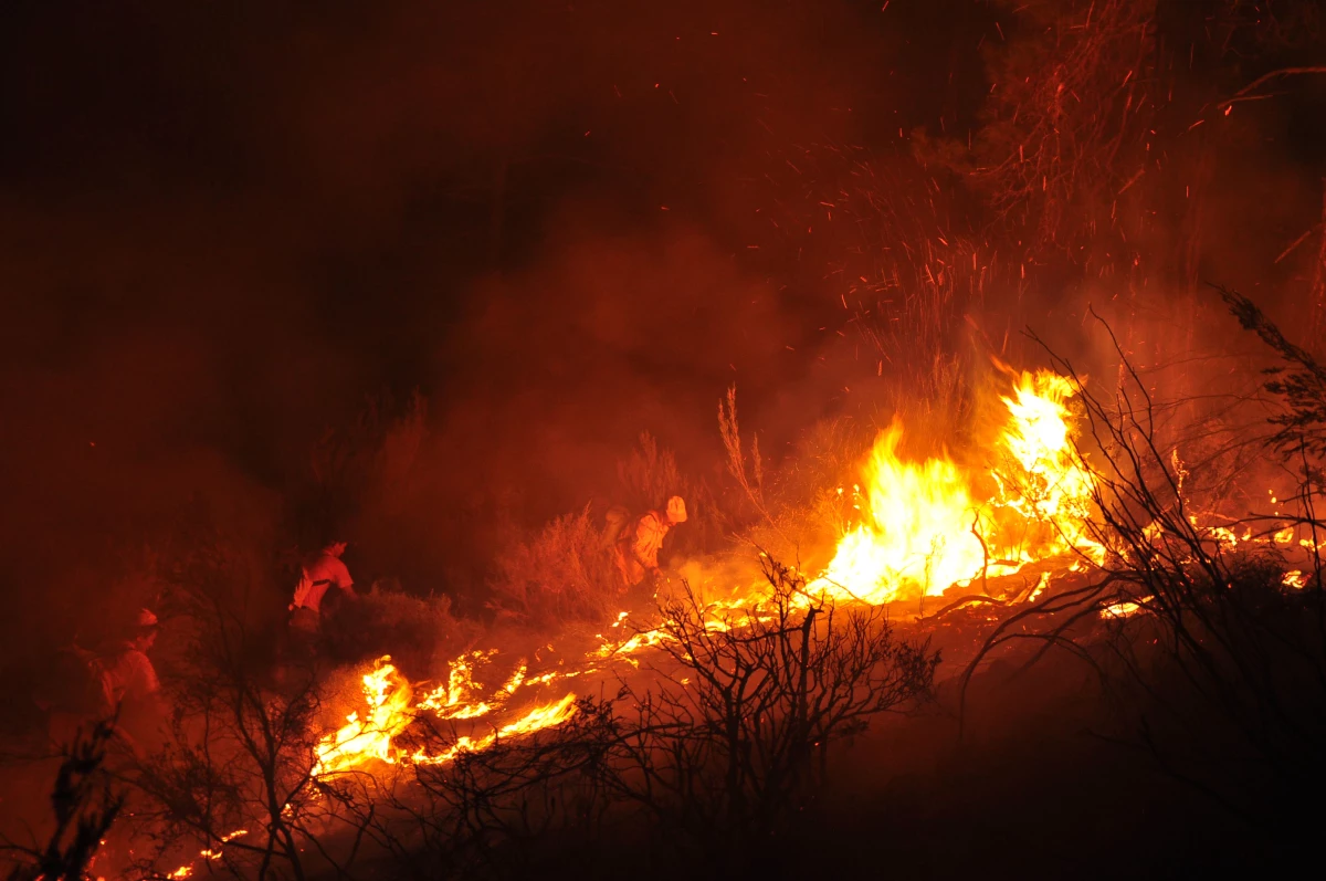 Marmaris\'teki Orman Yangını Kontrol Altına Alındı