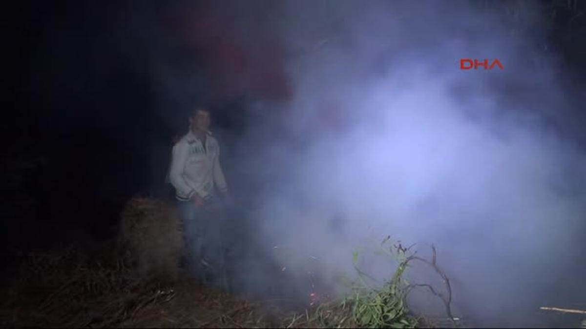 Seydikemer\'de Orman Yangını