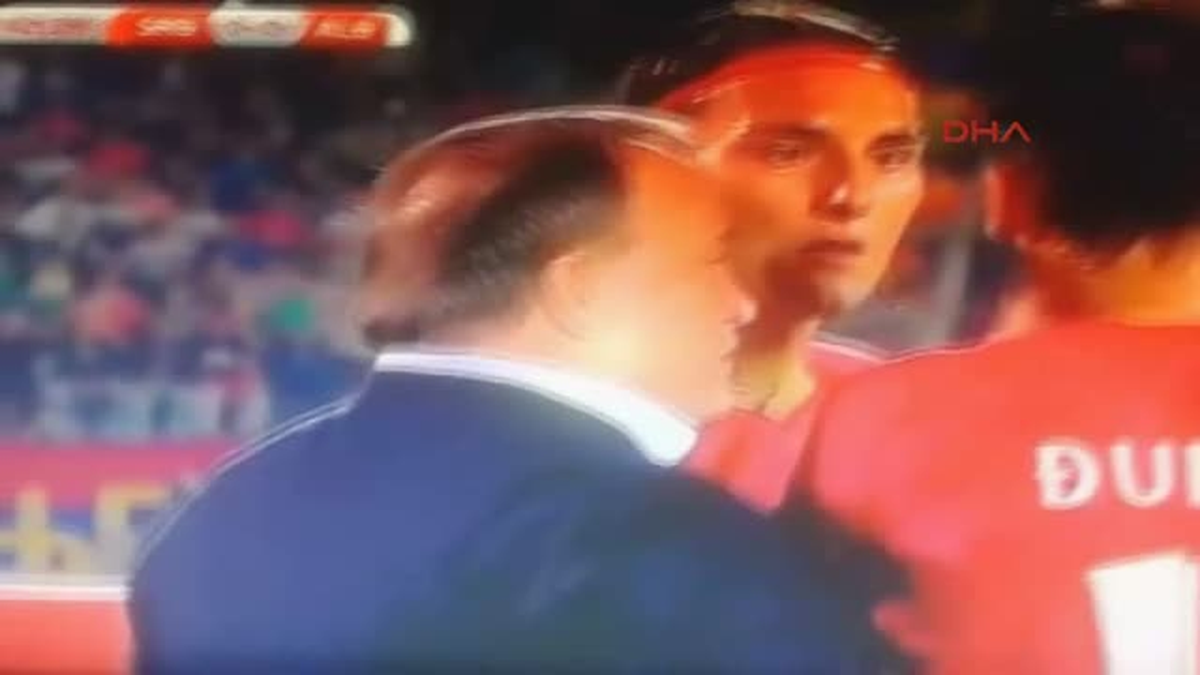Stat Üzerinde Bayrak Uçuran Arnavut Asıllı Morinay\'a Tutuklama Kararı