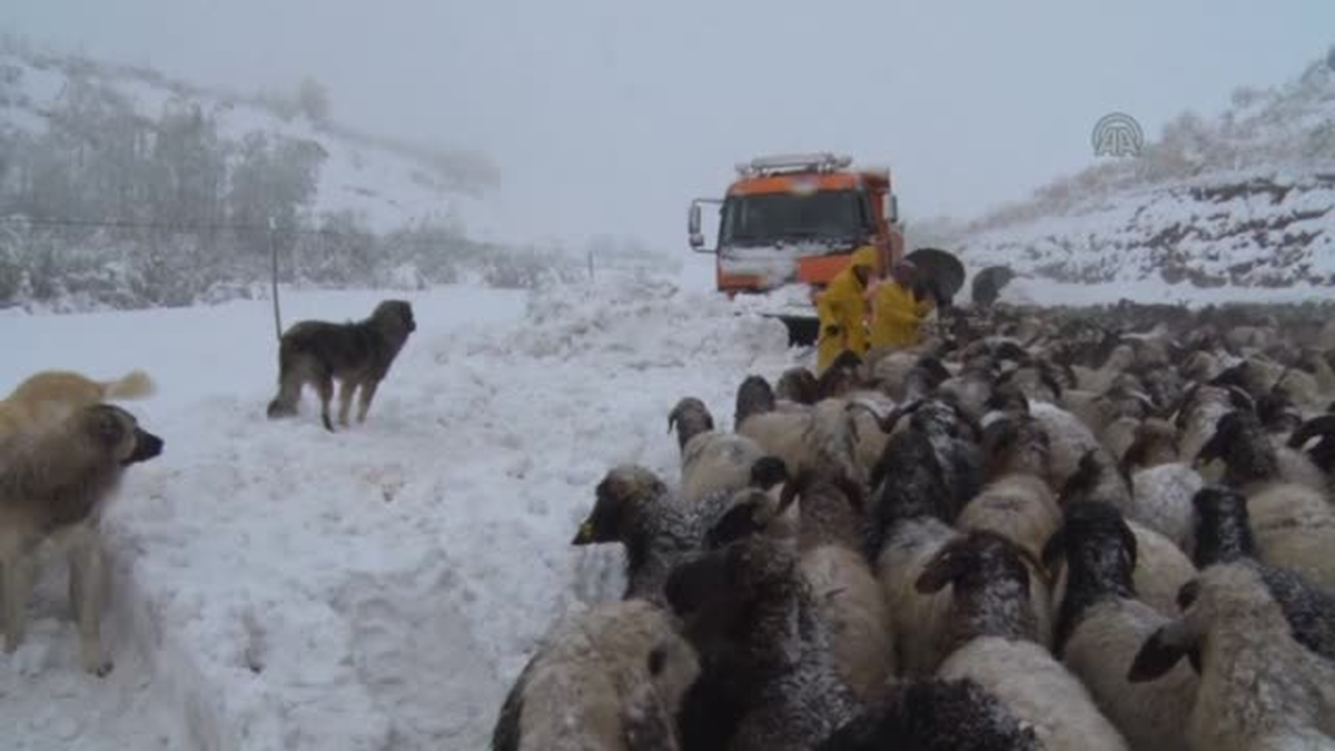 Karda Mahsur Kalan Çobanlara 6 Saate Ulaşıldı