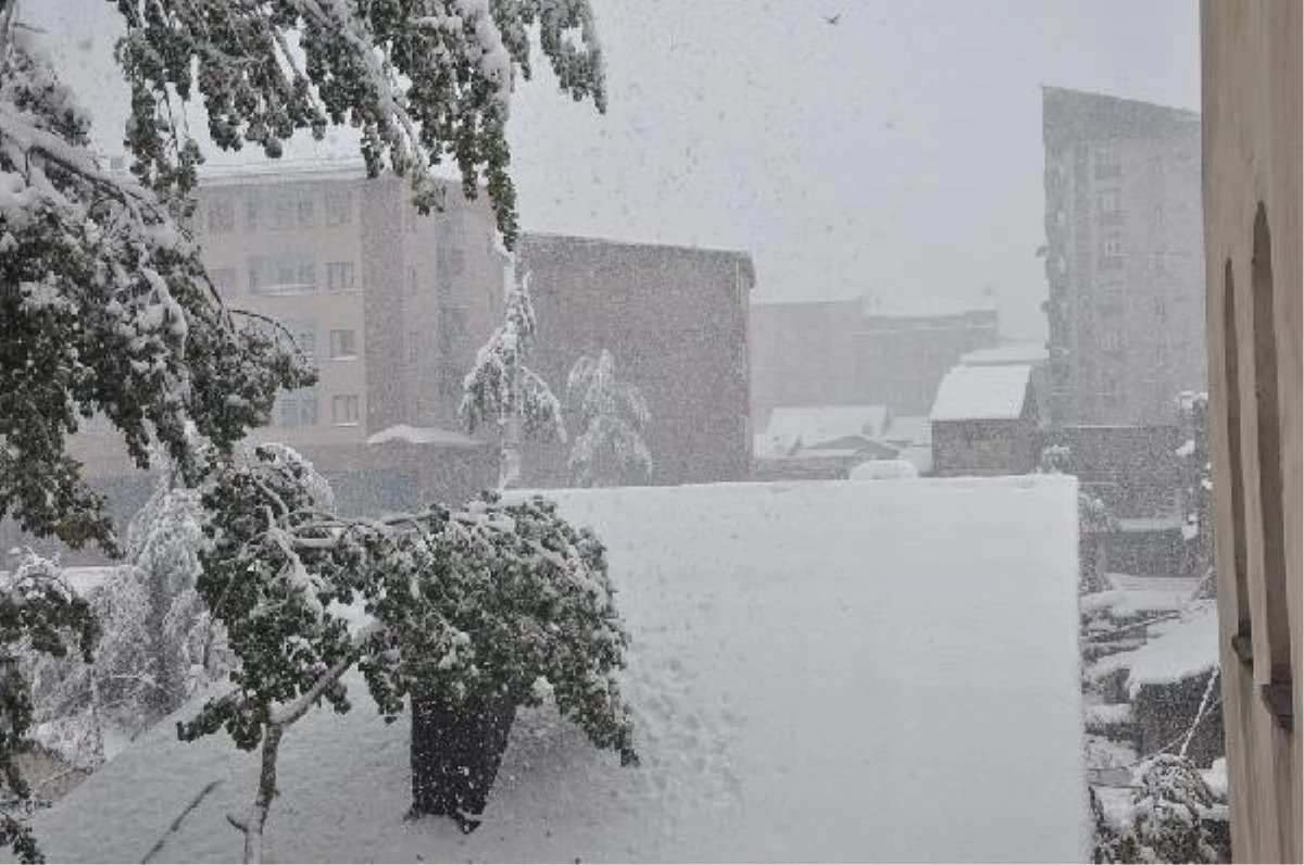 Yüksekova\'da Yoğun Kar, Köy Yollarını Kapattı