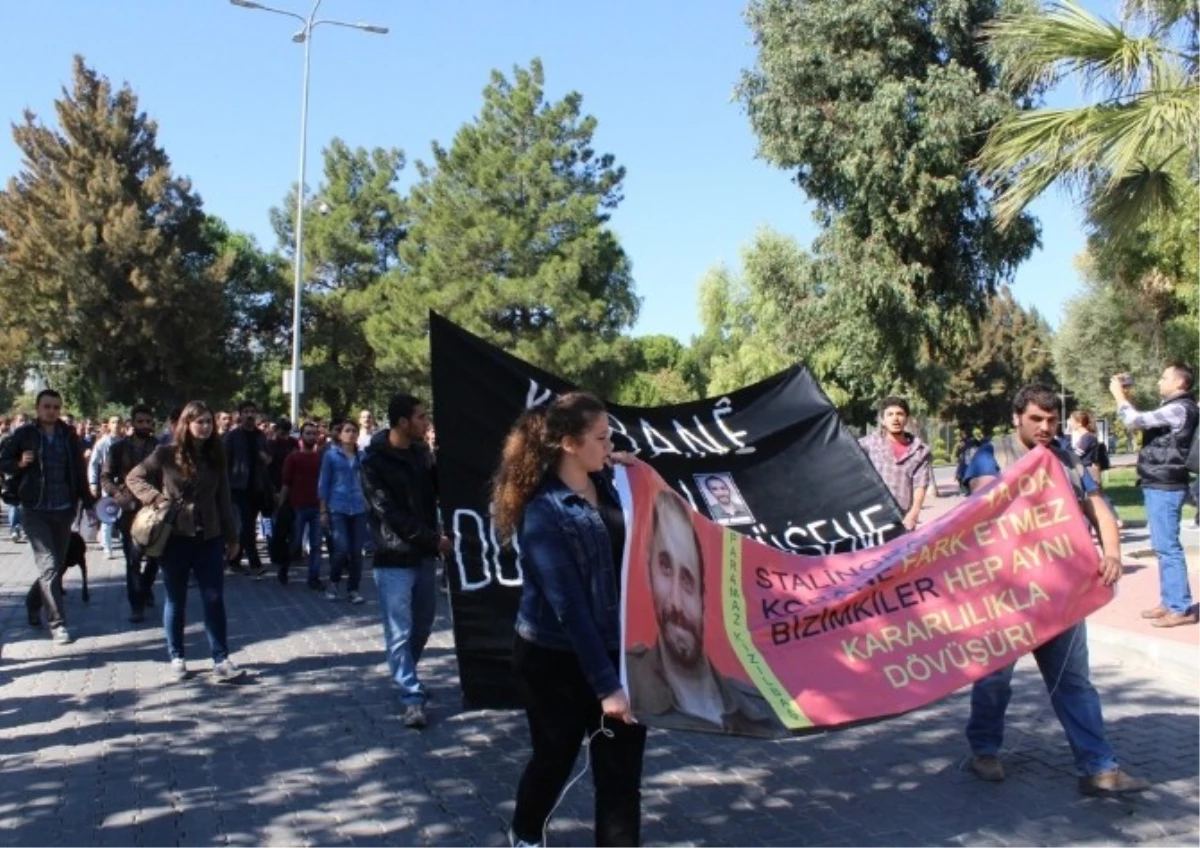 Ege\'li Öğrenciler Kobani İçin Ölenler Adına Fidan Dikti