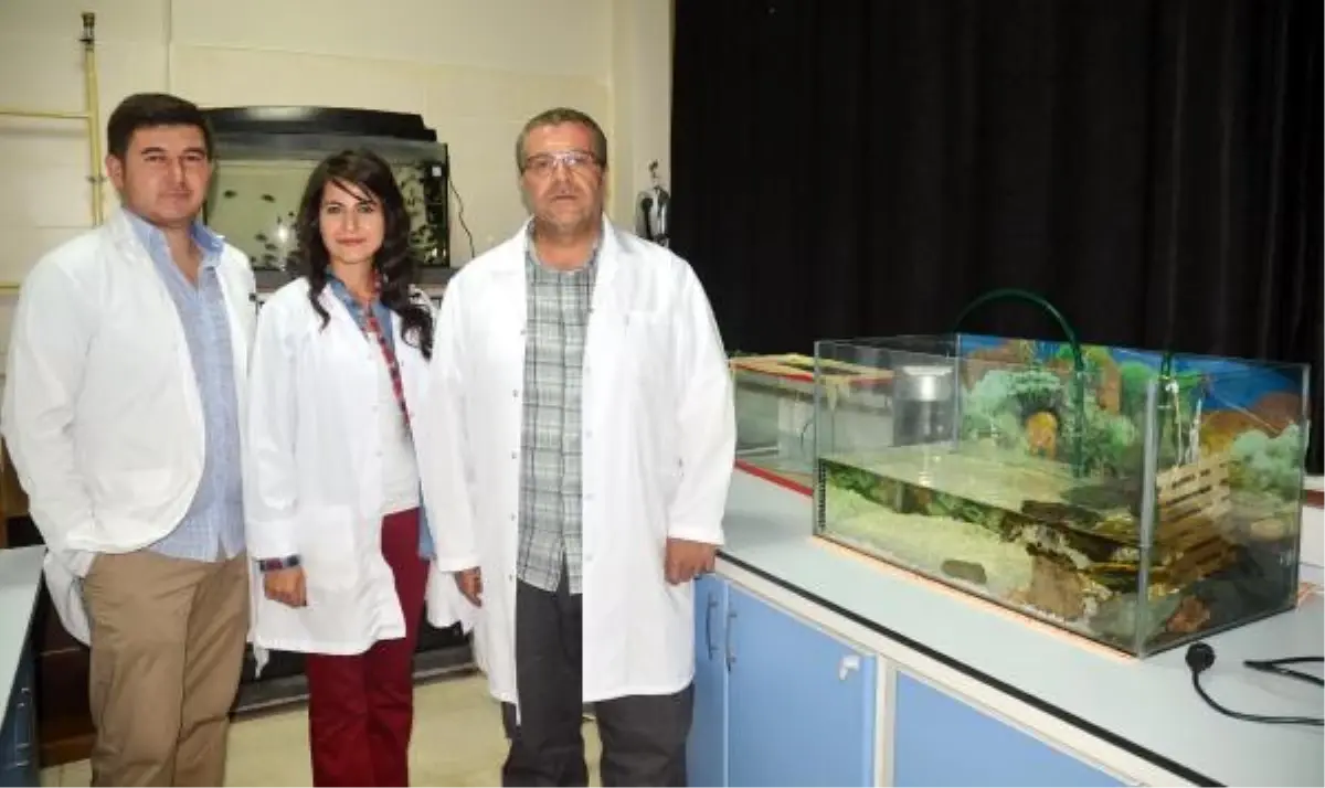 Gökgöl ve Işıklı Göl\'deki Balık Ölümlerinde Virüs Şüphesi