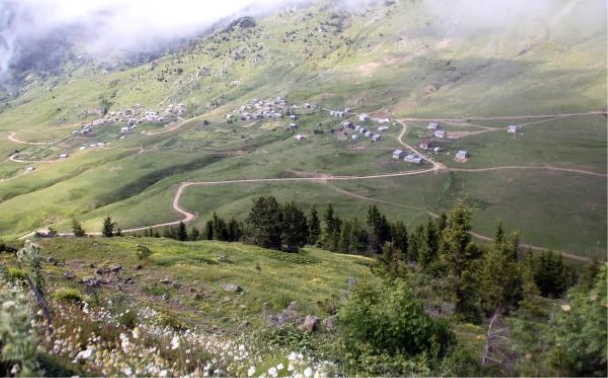 Karadeniz\'in Yaylaları \'Yeşil Yol\'la Bağlandı