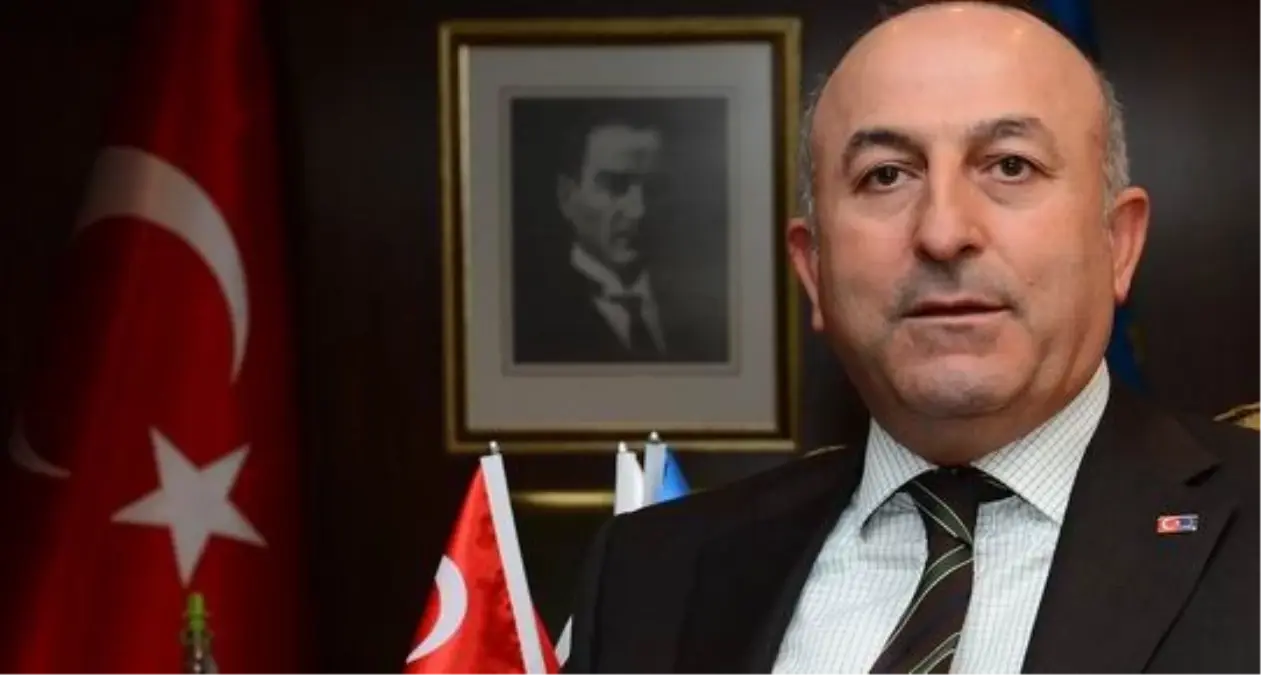 Çavuşoğlu, Türkiye-AB KİK Üyelerini Kabul Etti