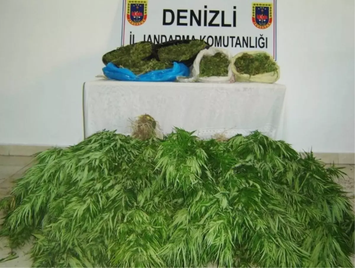 Denizli\'de Uyuşturucu Operasyonunda İki Tutuklama