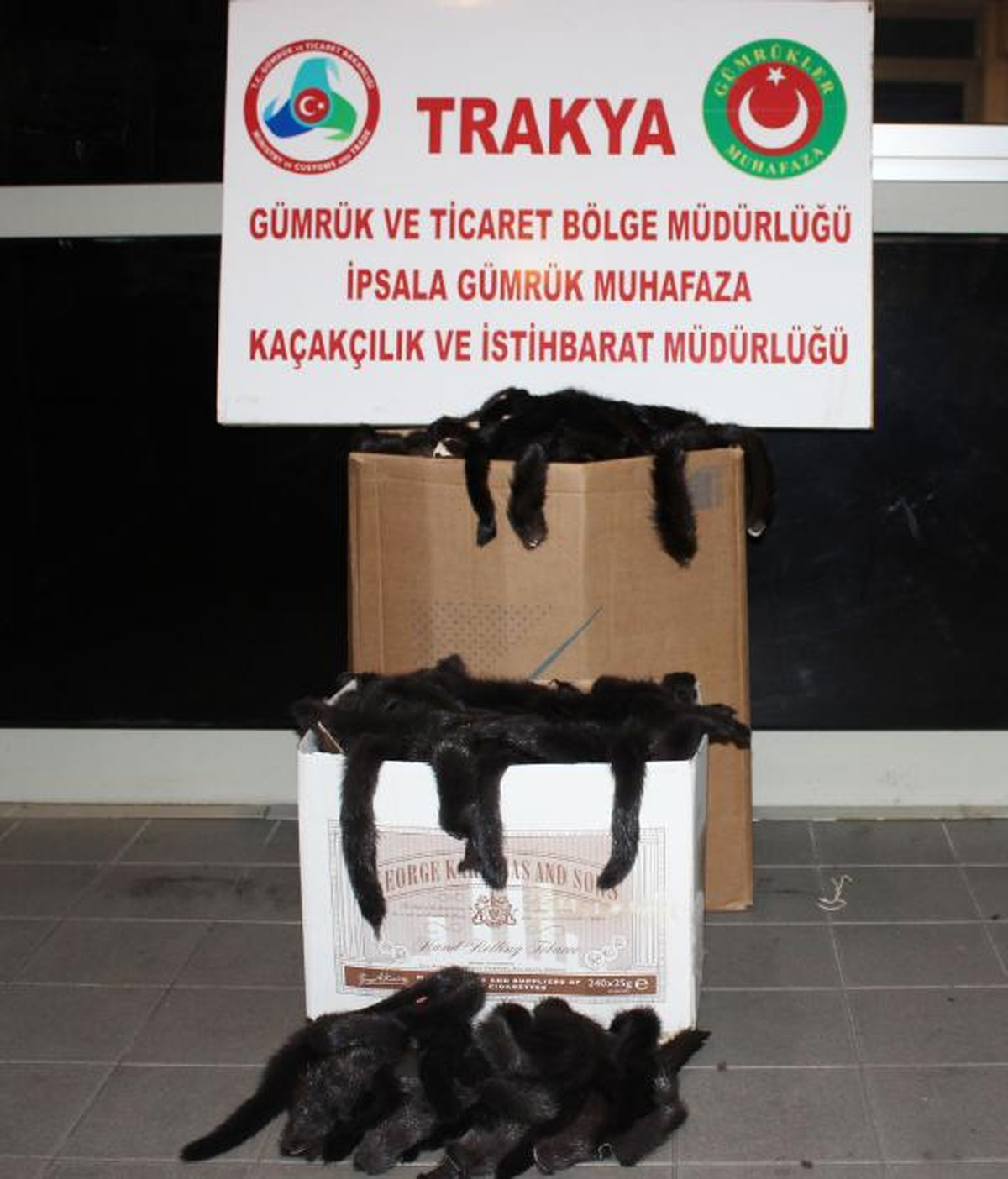 İpsala\'da 2 Bin 300 Vizon Kürkü Ele Geçirildi