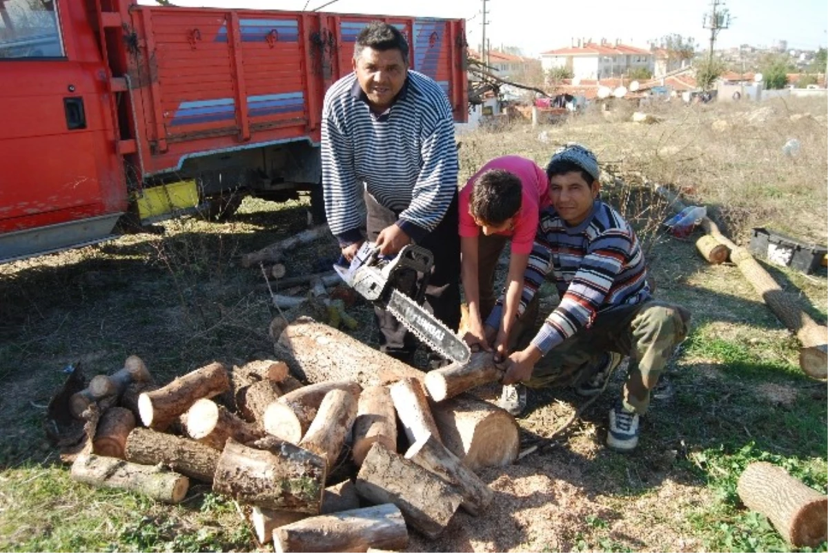 Malkara\'da Vatandaşları Yakacak Telaşı Sardı