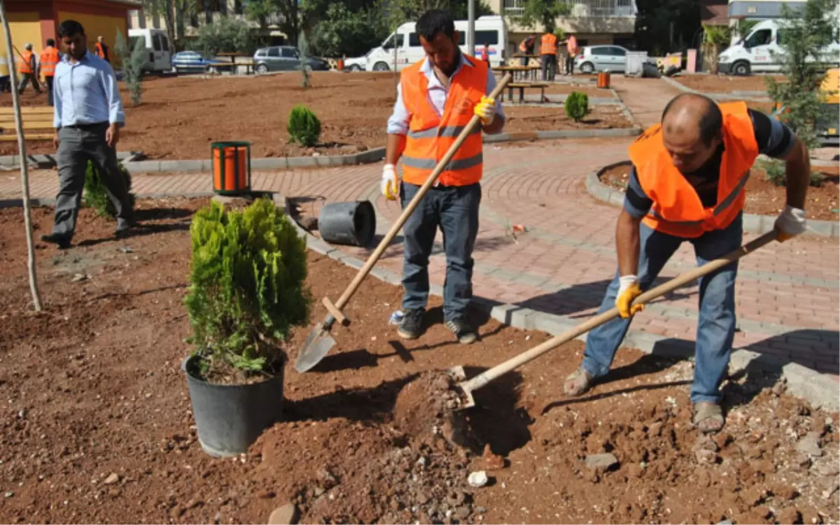 Vatandaş İstedi Büyükşehir Hizmete Açtı