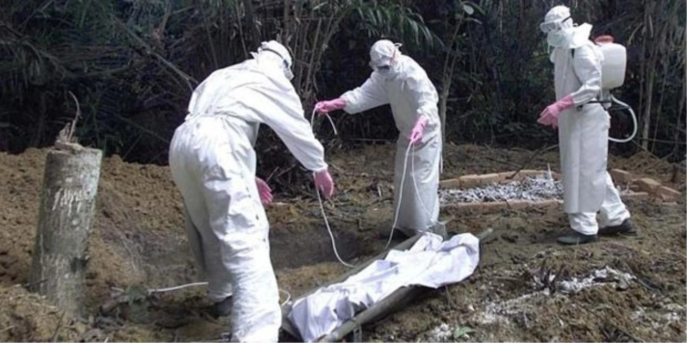Ebola Virisü Yaklaşık 5 Bin Can Aldı