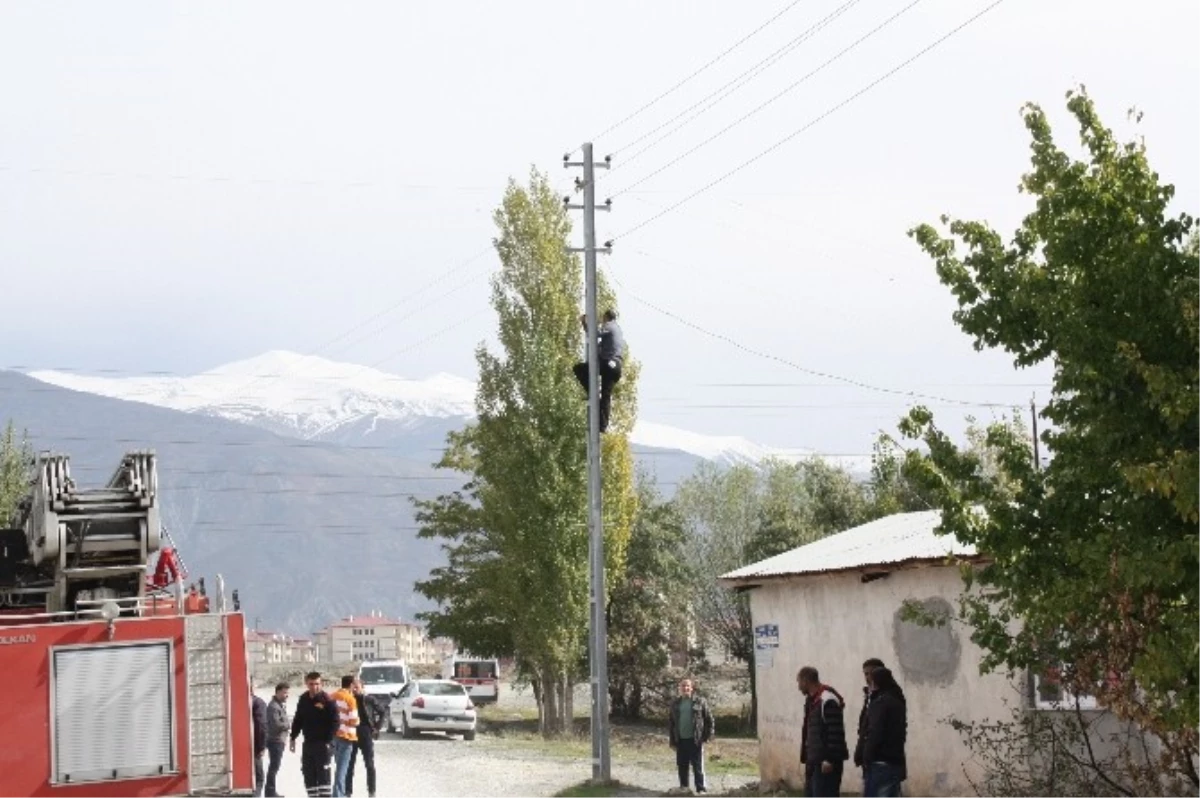 Erzincan da Elektriği Kesilen Vatandaş İsyan Etti