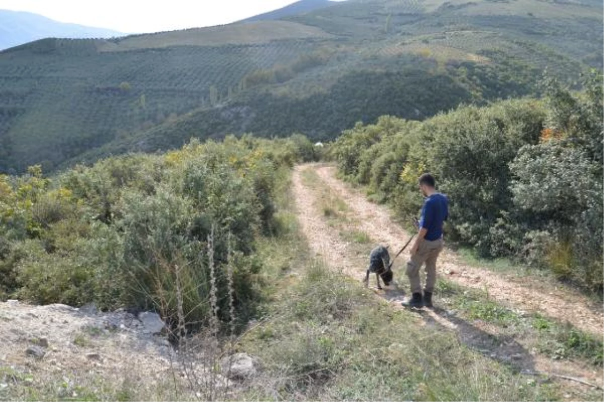 Küçük İzzet, Ankara\'dan Getirilen Köpeklerle Arandı