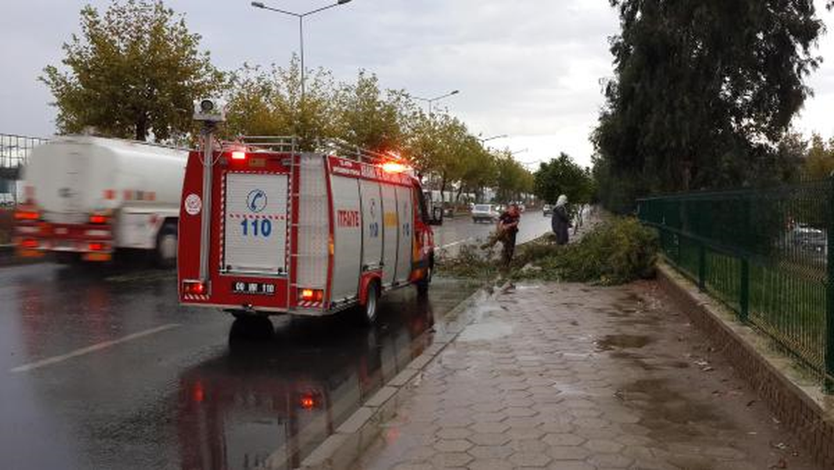Aydın\'da Şiddetli Rüzgar Ağaç Devrildi