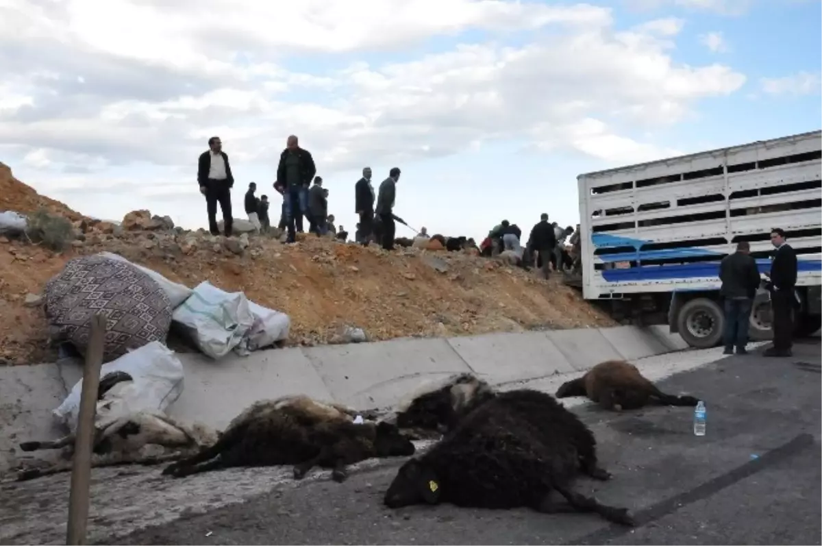 Bingöl\'de Trafik Kazası: 3 Yaralı