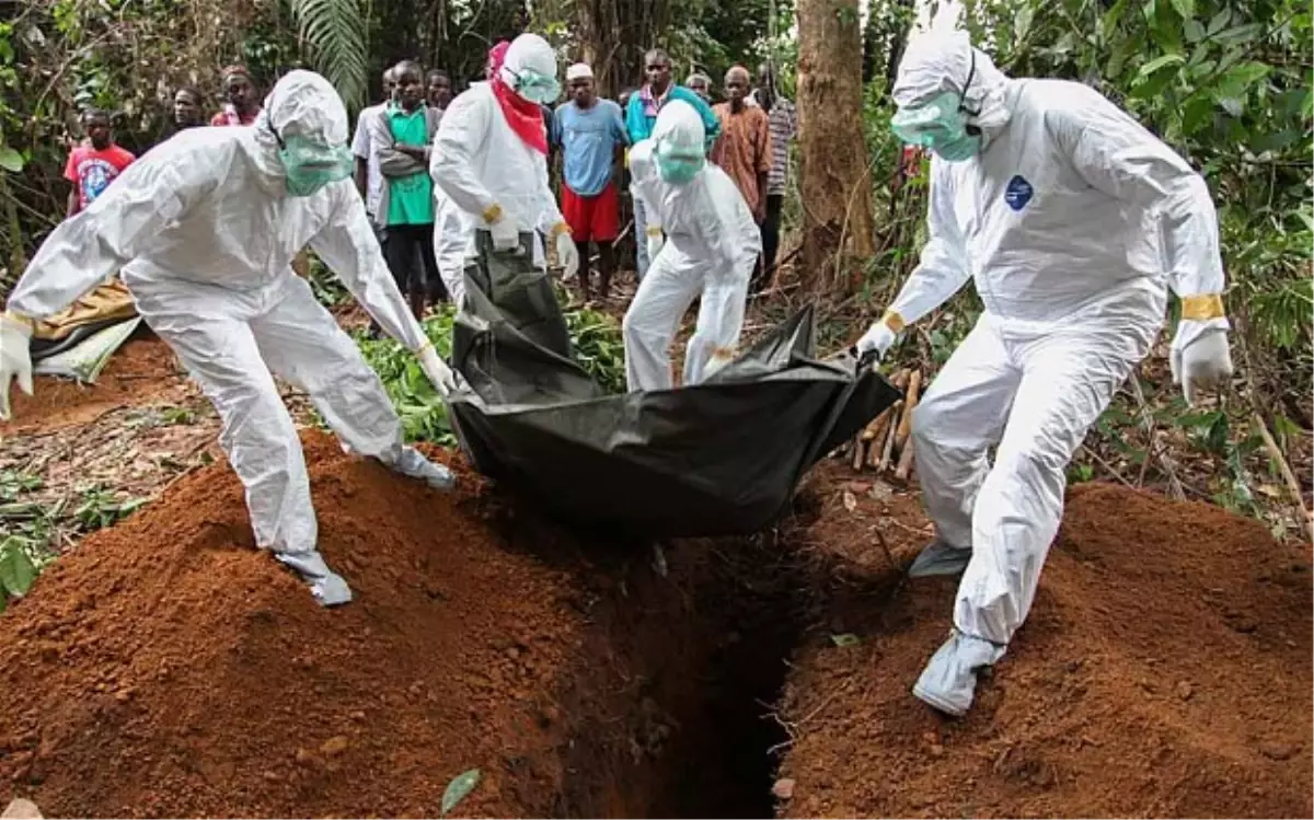 Ebola Dünya Borsalarını Vurdu, BIST Etkilenmedi