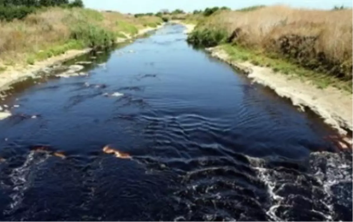 Ergene Nehri\'nde Kirlilik İddiası