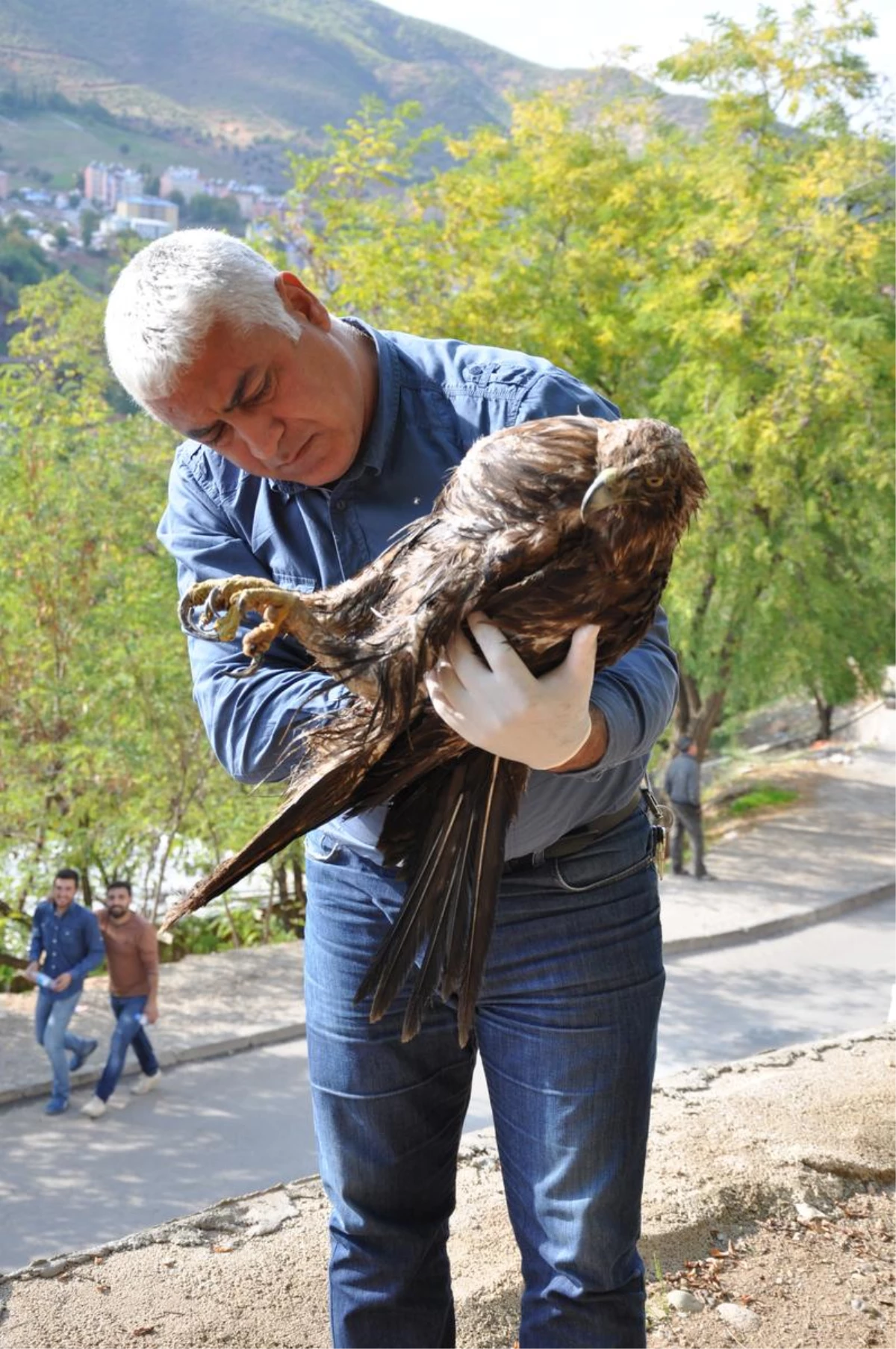 Tunceli\'de Yaralı Kartala Yardım Eli