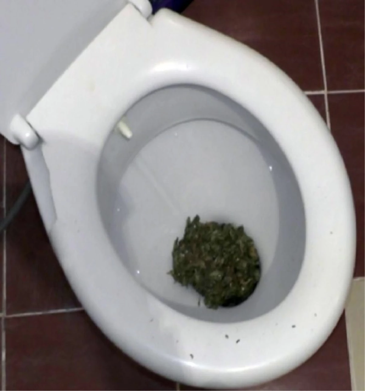 Tuvalet Klozetinden Uyuşturucu Çıktı