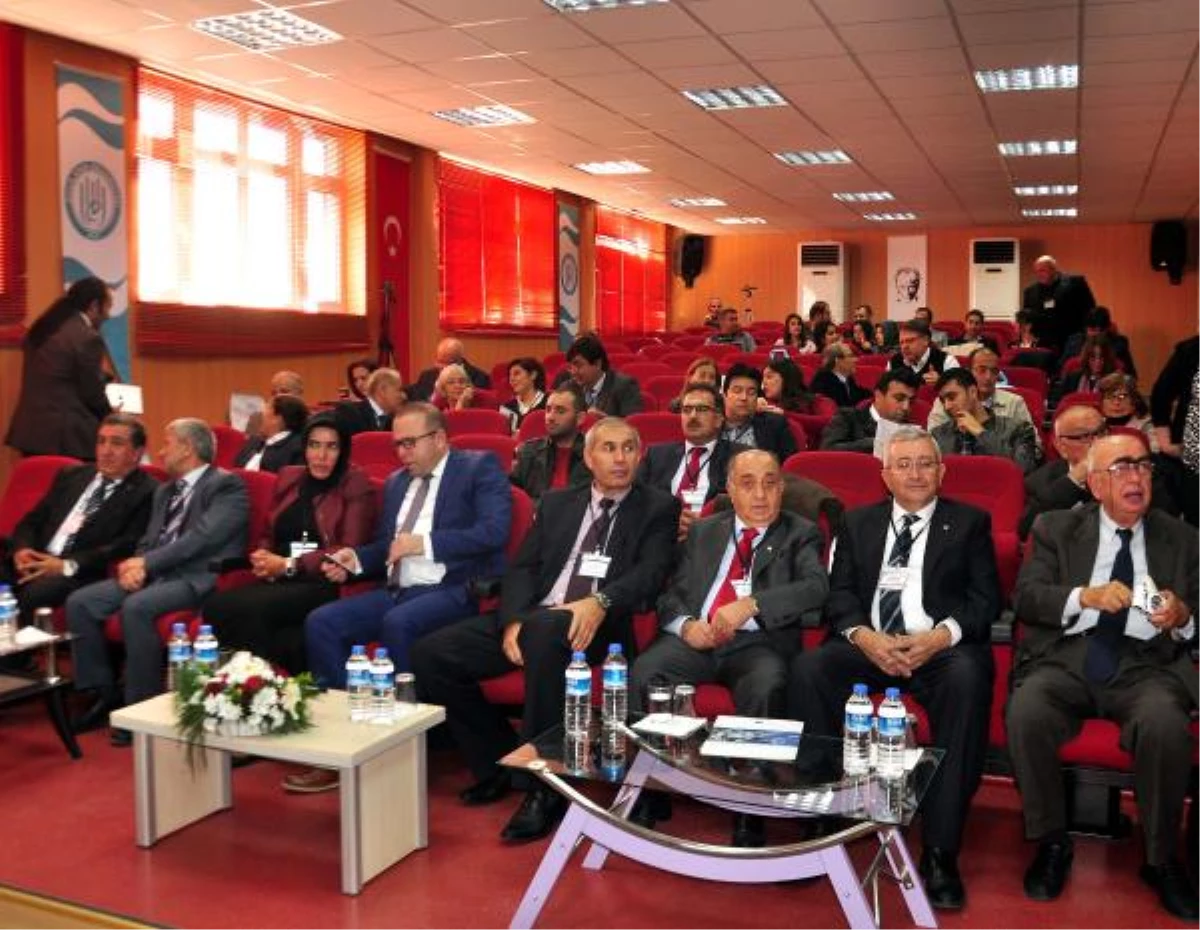 Bitlis\'te Tarihi Eserlerin Güçlendirilmesi Çalıştayı Düzenlendi