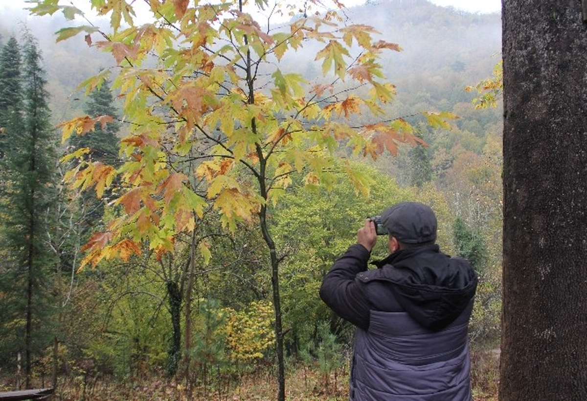 Kasfot Üyeleri Yenice Ormanlarında Foto Safari Yaptılar