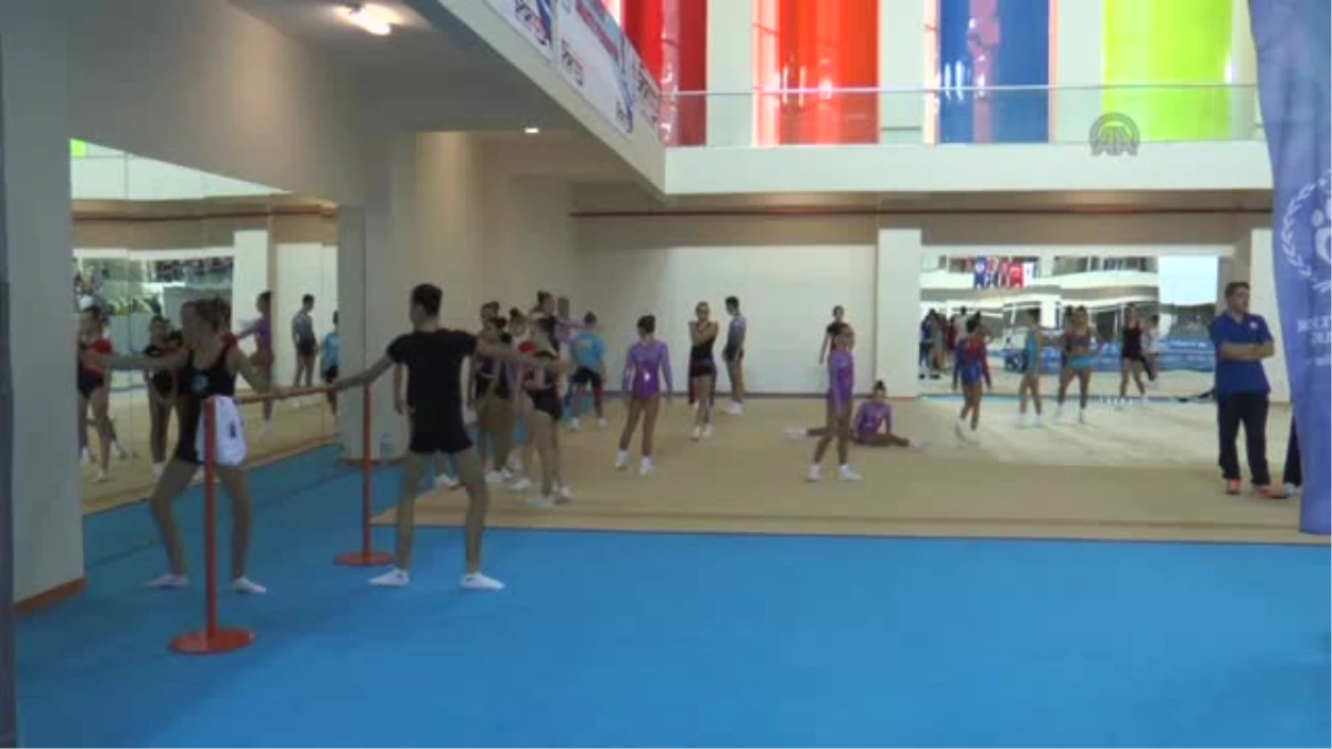 Cimnastik: Federasyon Kupası