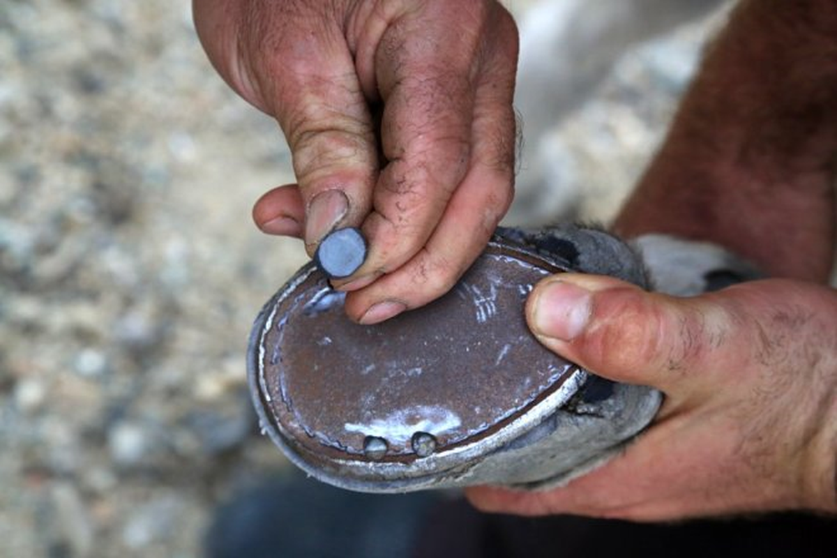 Baba Mesleğini Yaşatmaya Çalışıyorlar