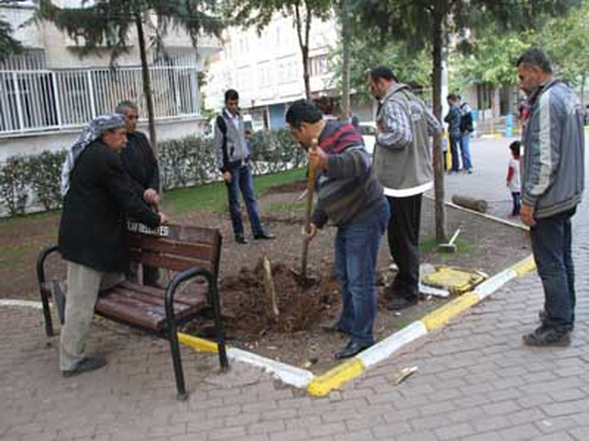 Bağlar Belediyesi Boş Alanları Yeşile Çeviriyor