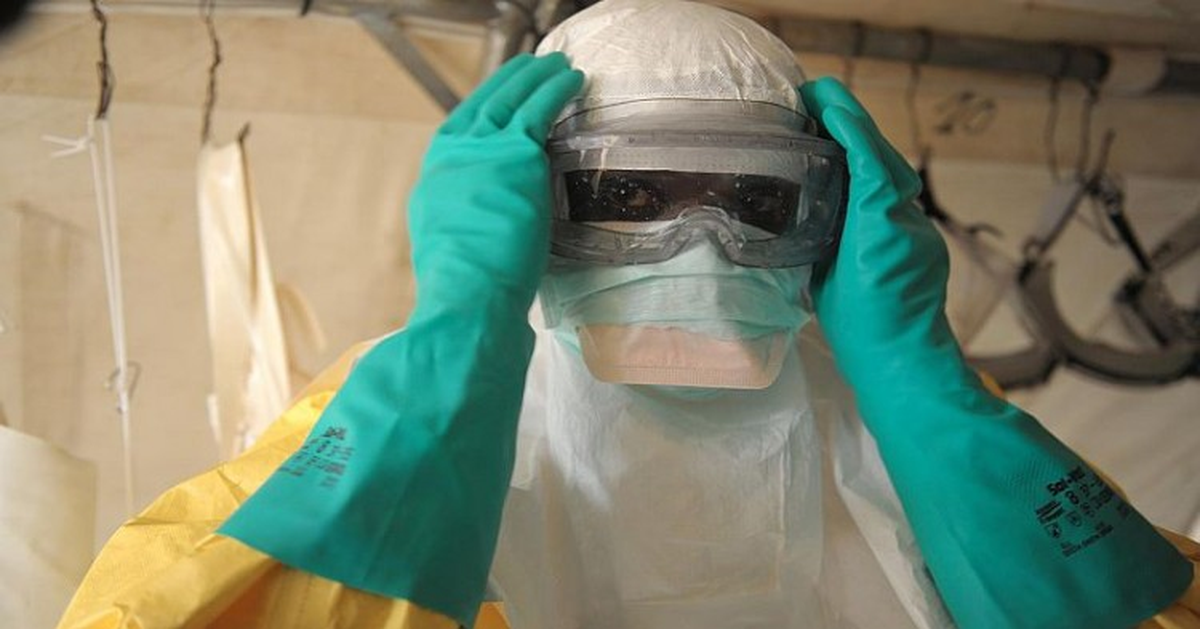 Ebola İnternete Bulaştı