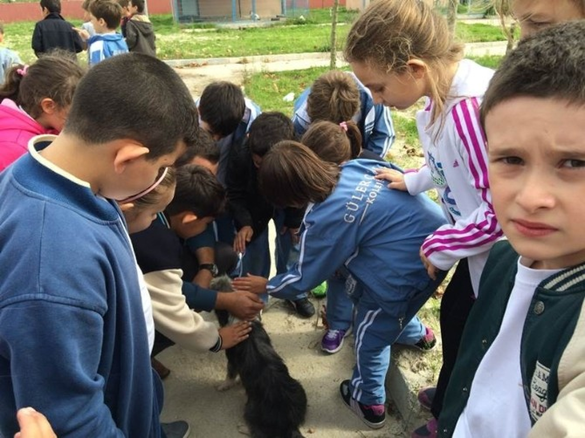 Gülerçin\'in Öğrencileri Hayvanları Unutmadı