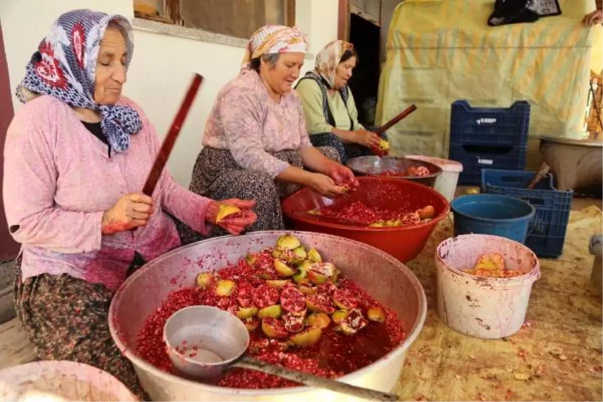 Nar Ekşisinde Kanserojen Tehlikesine Önlem