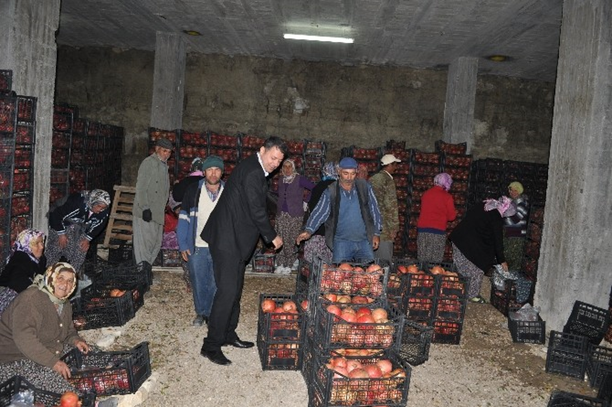 Soğuk Hava Depoları, Silifke Ekonomisine Katkı Sağlıyor