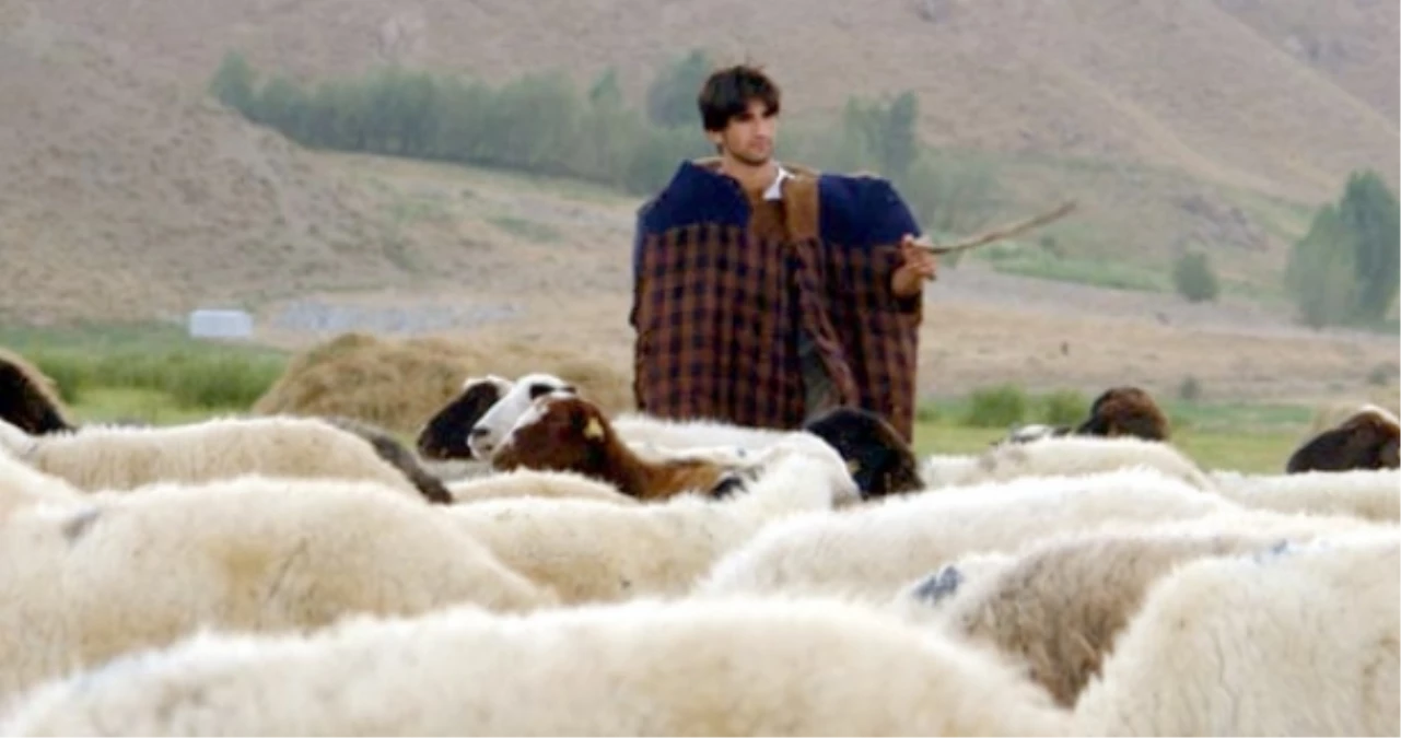 Çobanların Çalışma Sezonu Sona Eriyor