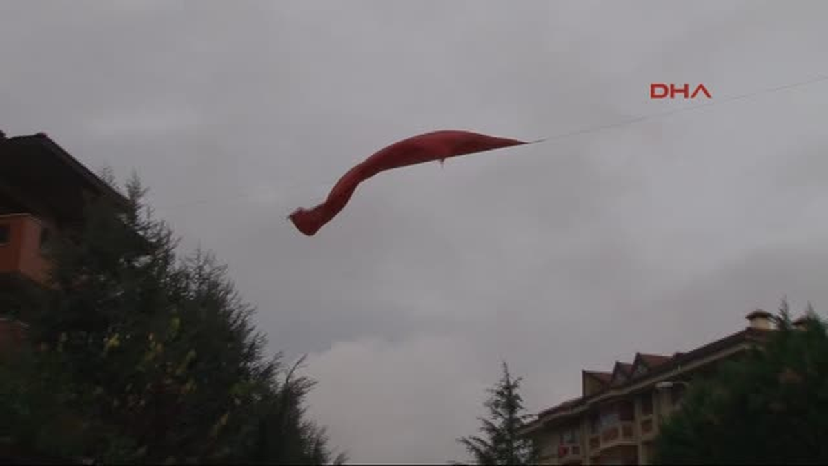 Barikatları Bayraklarla Donattılar