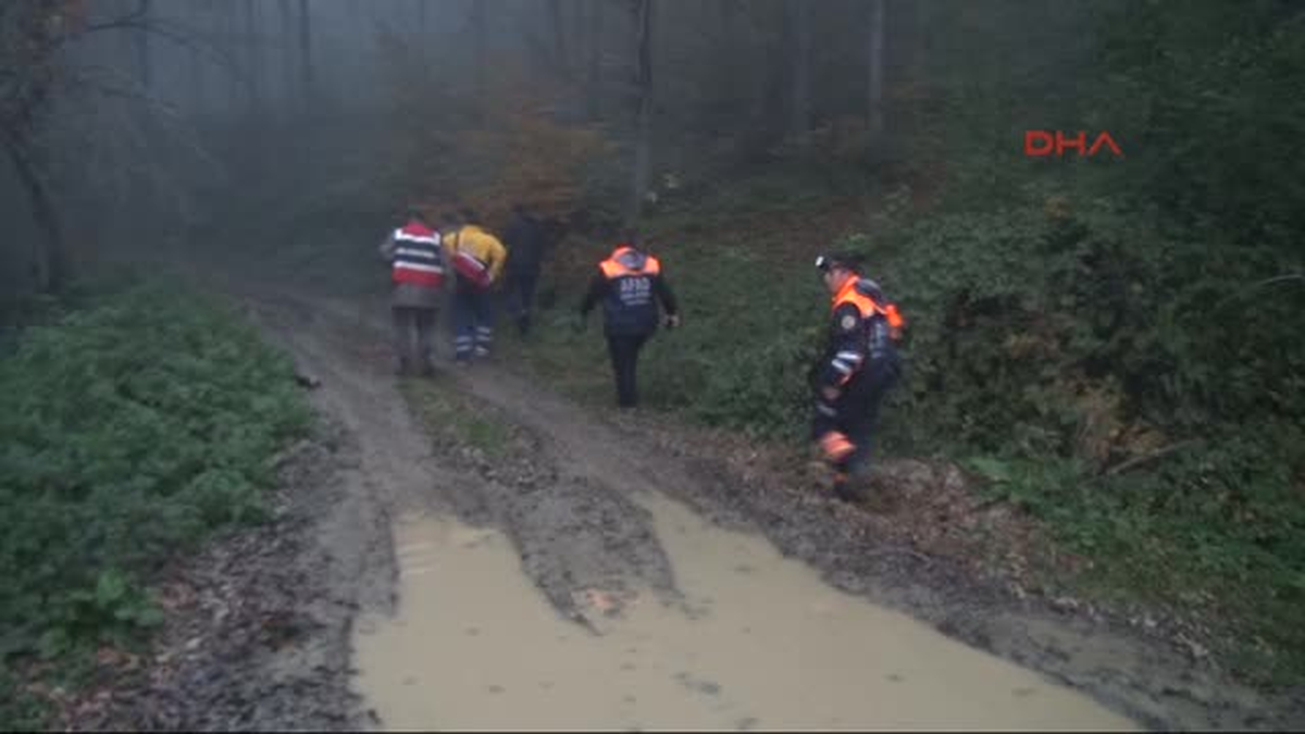 \'Ayı Saldırısına Uğradım\' Diyen Kişi Ormanda Aranıyor