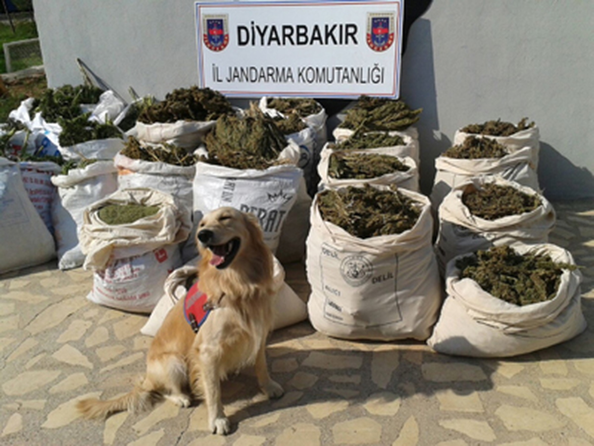 Kocaköy\'de Uyuşturucu Operasyonu