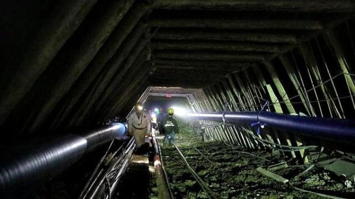 Ahtapot Yaklaşık 350 Metre Aşağıya Yerleştirildi