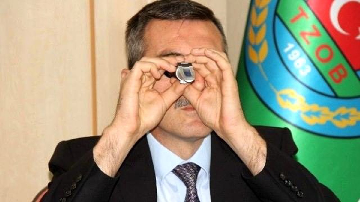 Kivi Hasat Tarihi Belirlendi