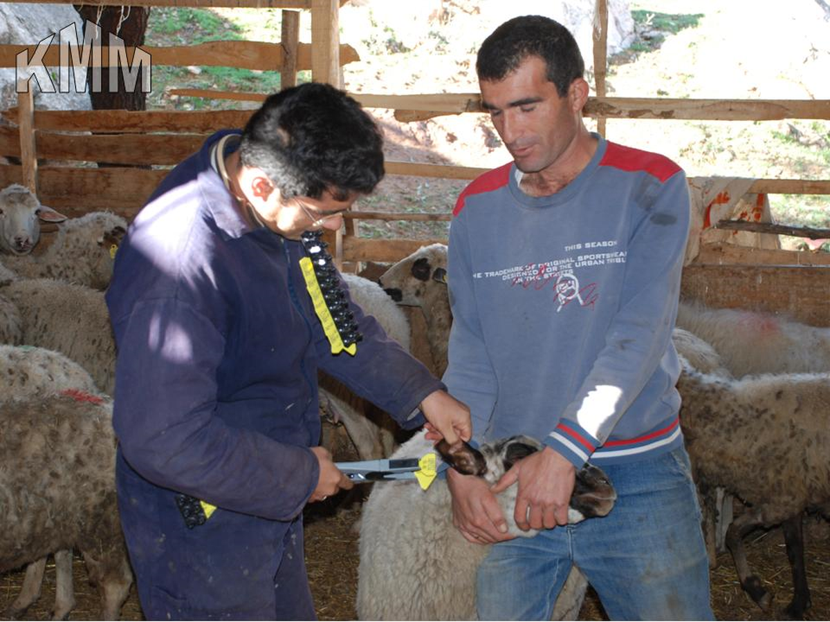 Küpleme Çalışmaları Sürüyor