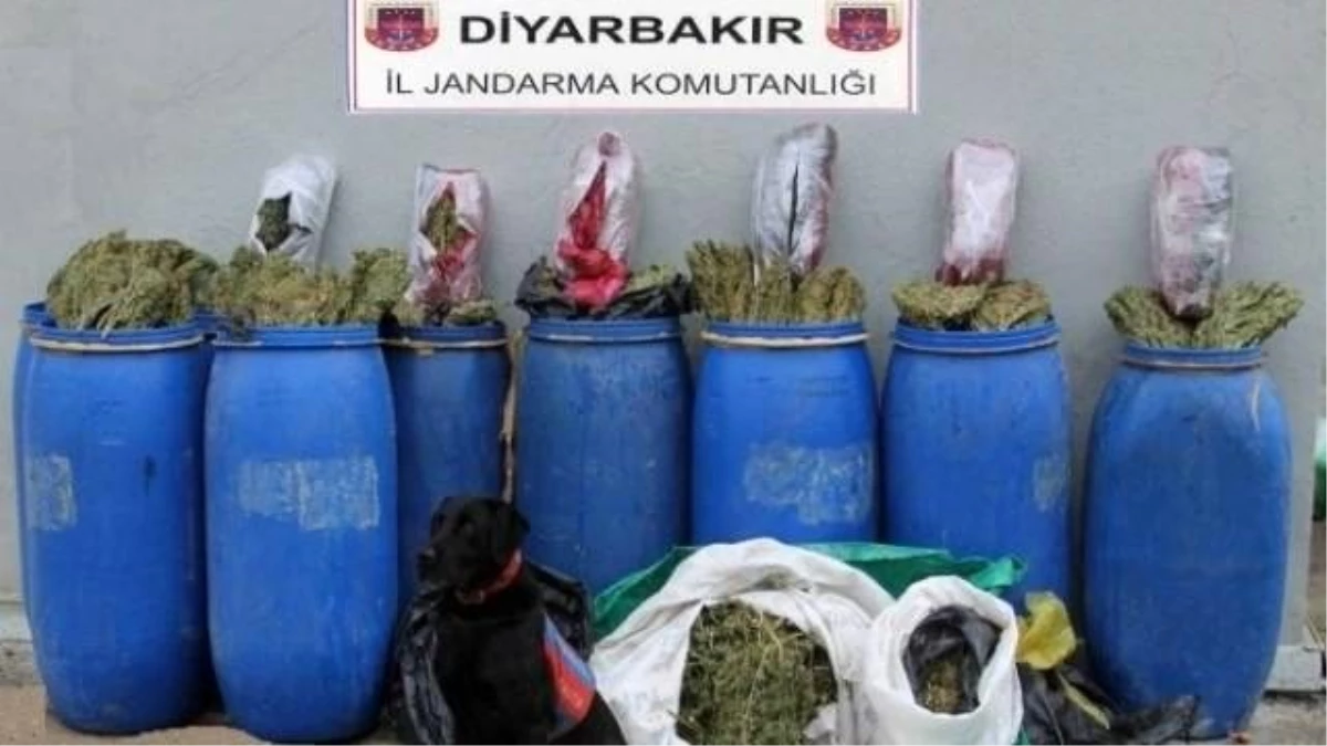 Diyarbakır\'da 170 Kilo Esrar Ele Geçirildi
