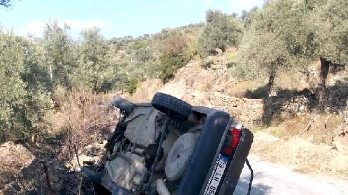 Çine\'de Otomobil İneğe Çarpıp Devrildi: 1 Yaralı
