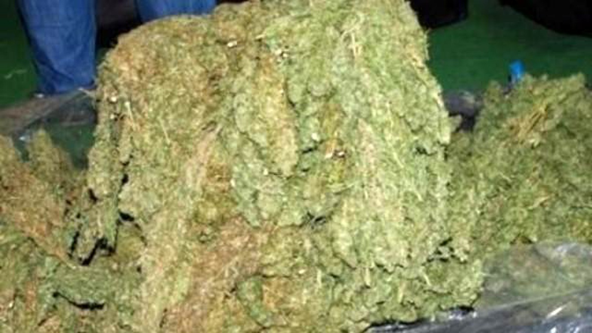 Elazığ\'da 54 Kilogram Esrar Ele Geçirildi