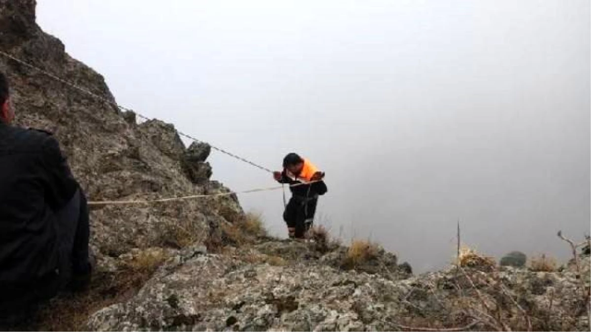 Kayalıkta Mahsur Kalan Keçileri Afad Kurtardı