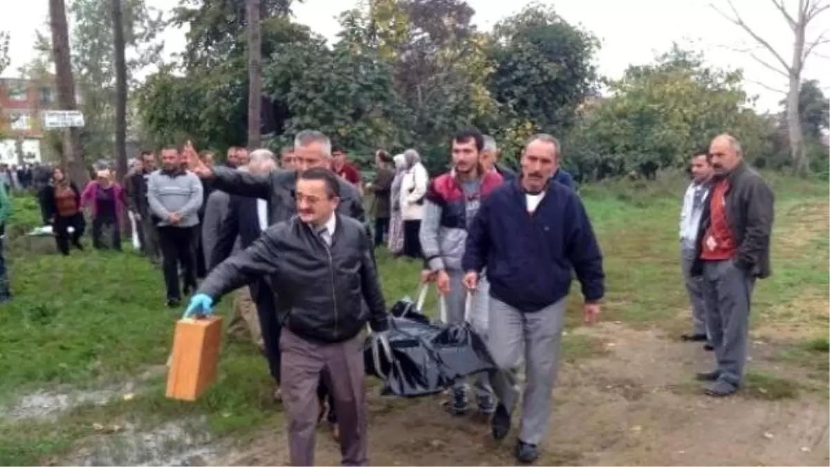 Kendini Ihlamur Ağacına Astı