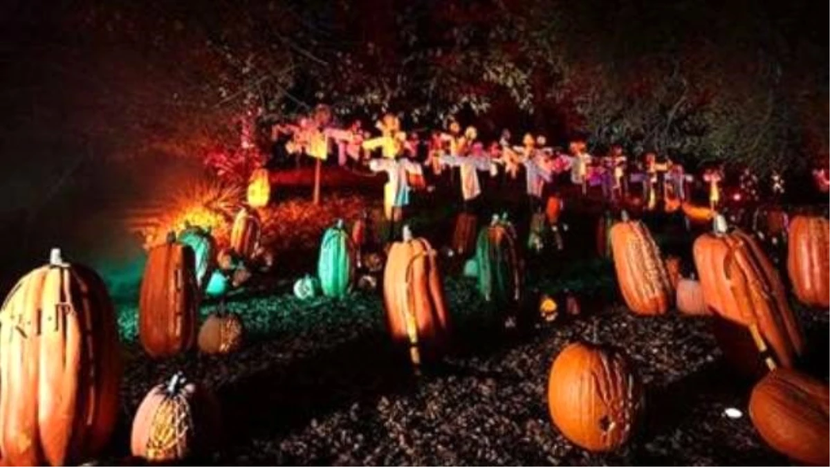 ABD\'deki Cadılar Bayramı Kutlaması Renkli Görüntülere Sahne Oldu