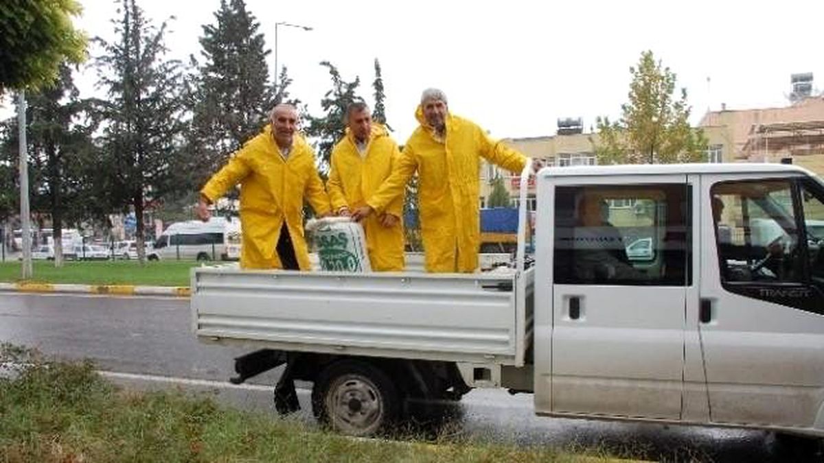 Belediyeden Ağaçlara Gübreleme