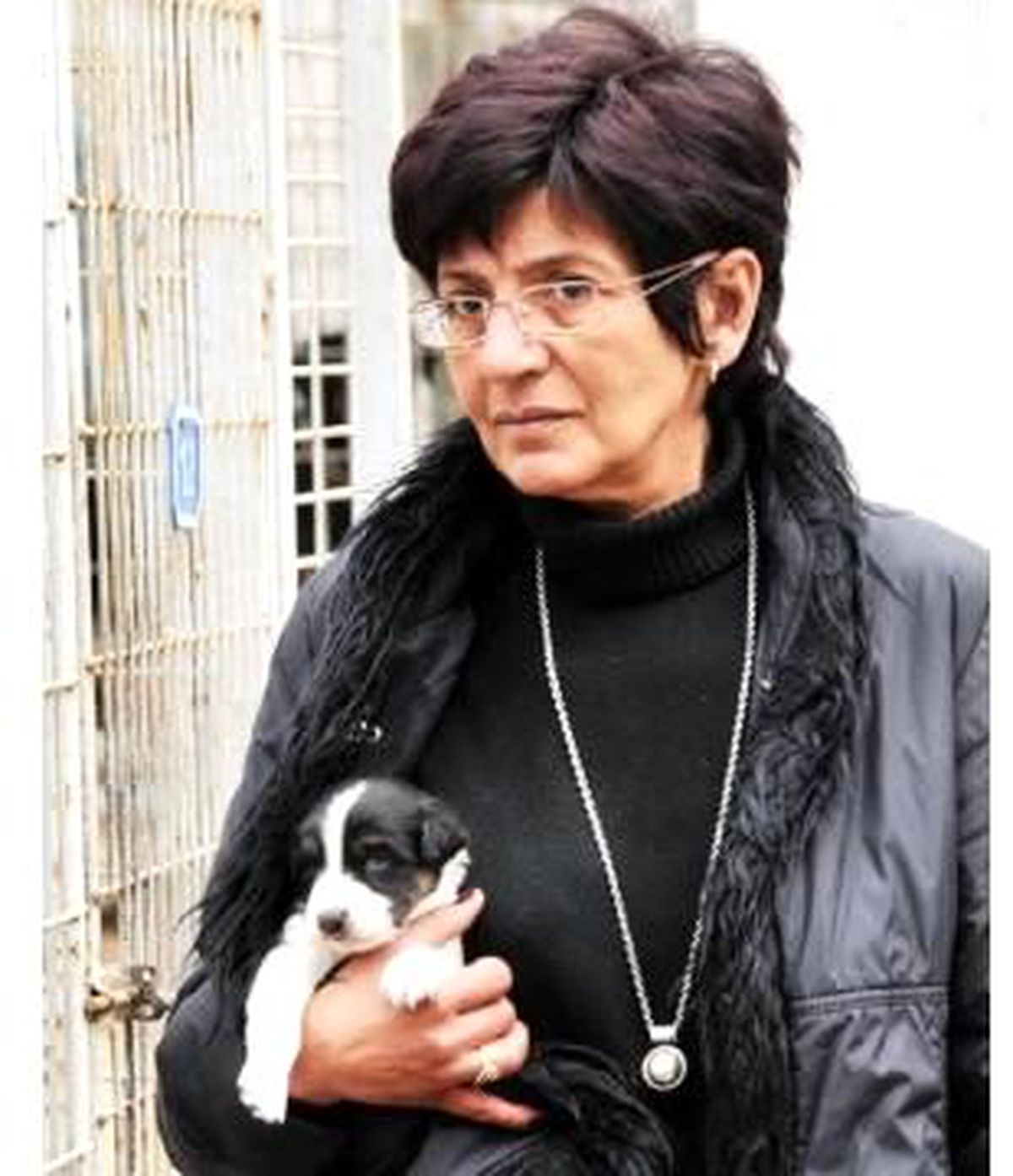 Bodrum\'da Vahşet; Köpeğini Cadde Ortasında Öldürdü