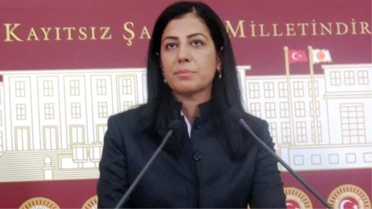 HDP\'li Ata, Kobanélilerin Sağlık Durumunu Sordu