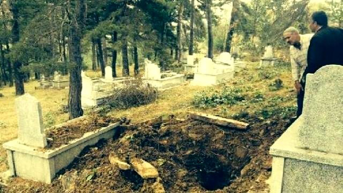 Mezardan Ceset Çıkaran Ayı Fotokapanla Belirlenecek