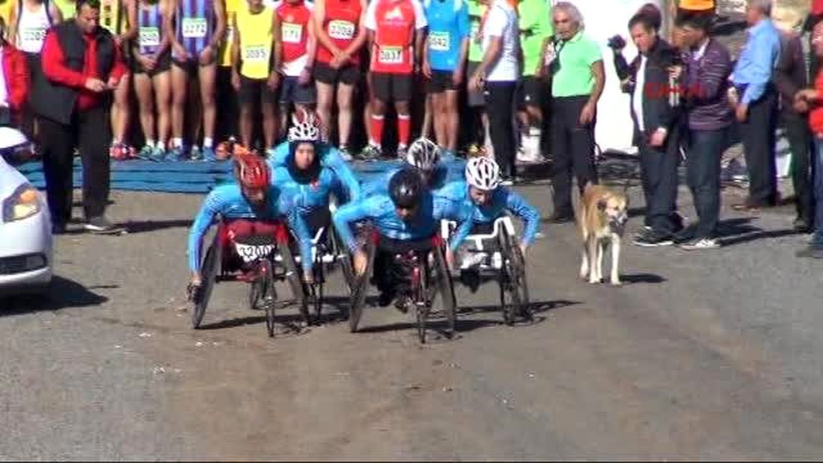 Şanlıurfa\'da 4\'üncü Göbeklitepe Yarı Maratonu Yapıldı