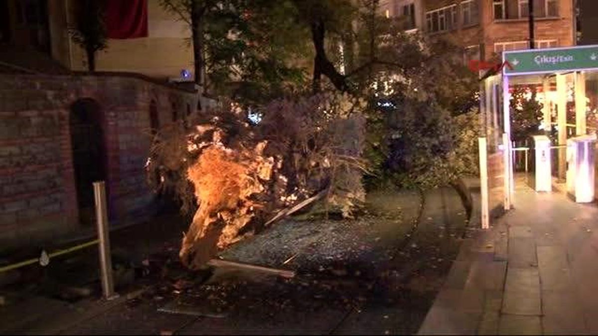 Tramvay Yoluna Ağaç Devrildi; 2 Yaralı